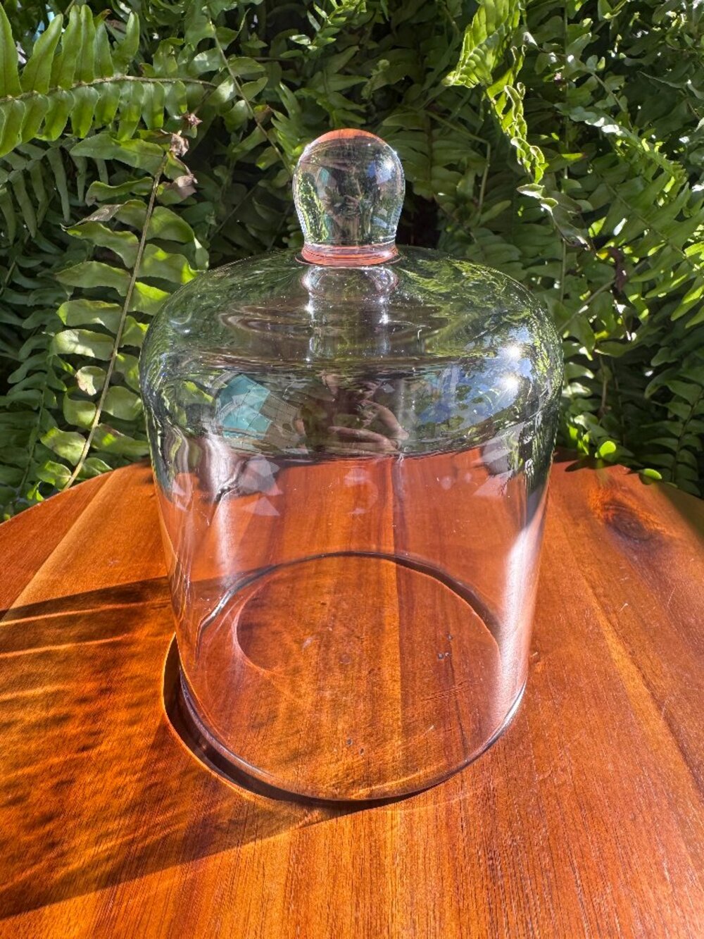Clear Glass Cloche 5.5” - Small Bell Jar, Display Dome Tabletop